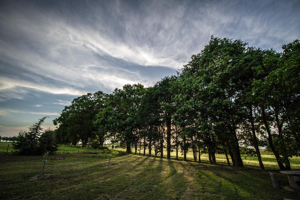 Agriturismo Biologico Sant'Egle San Quirico  ภายนอก รูปภาพ