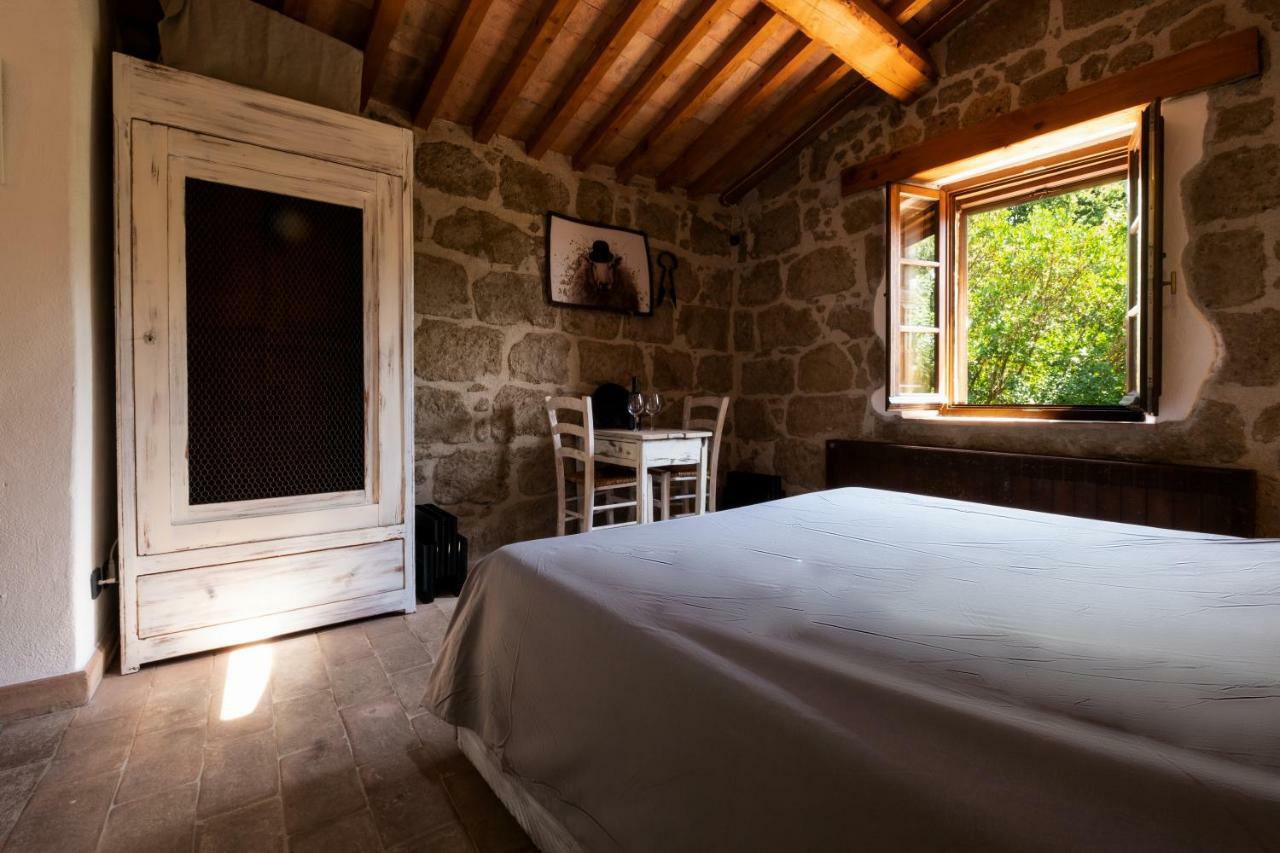 Agriturismo Biologico Sant'Egle San Quirico  ภายนอก รูปภาพ